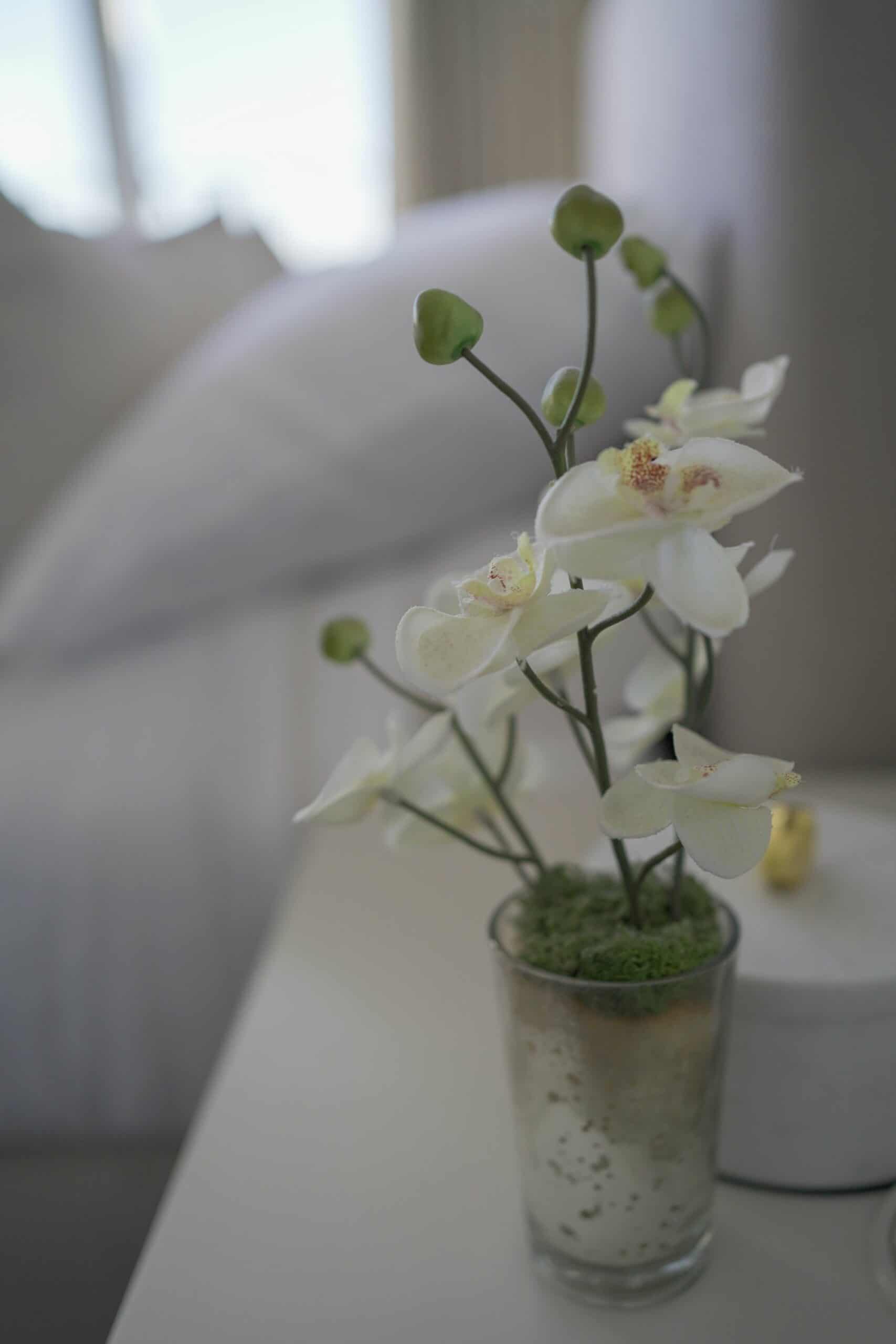 Orchid in glass on bedside table of a master bedroom